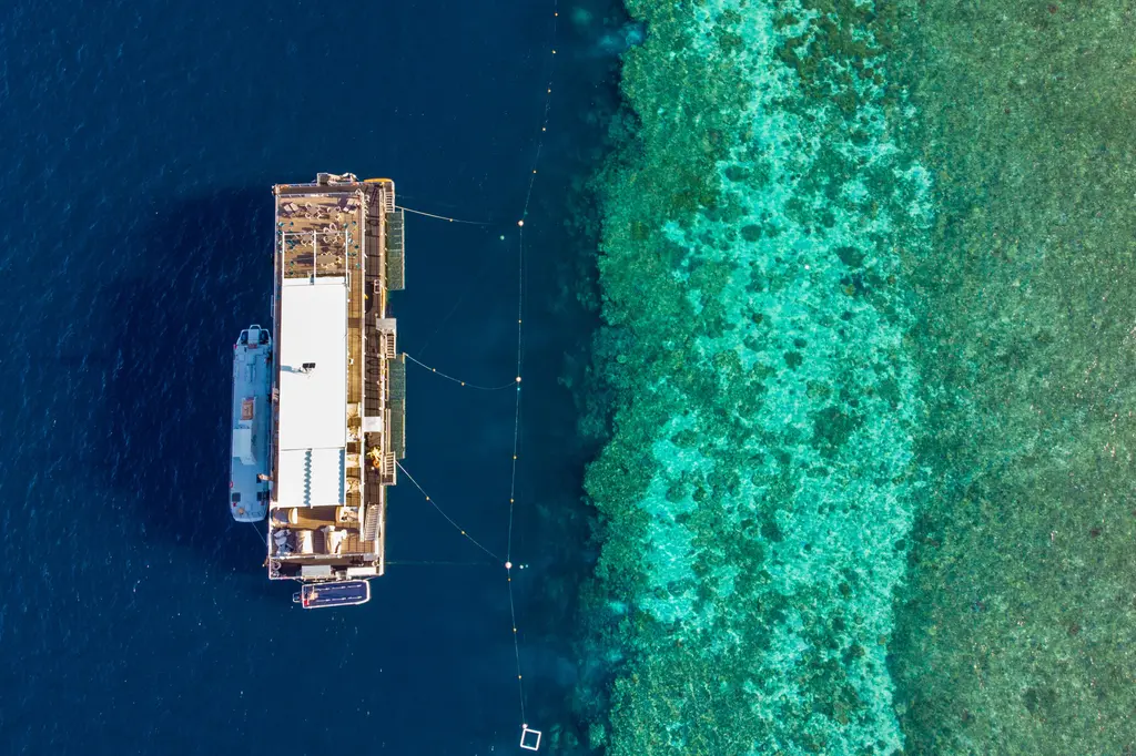 Reefsleep – Cruise Whitsundays image 9
