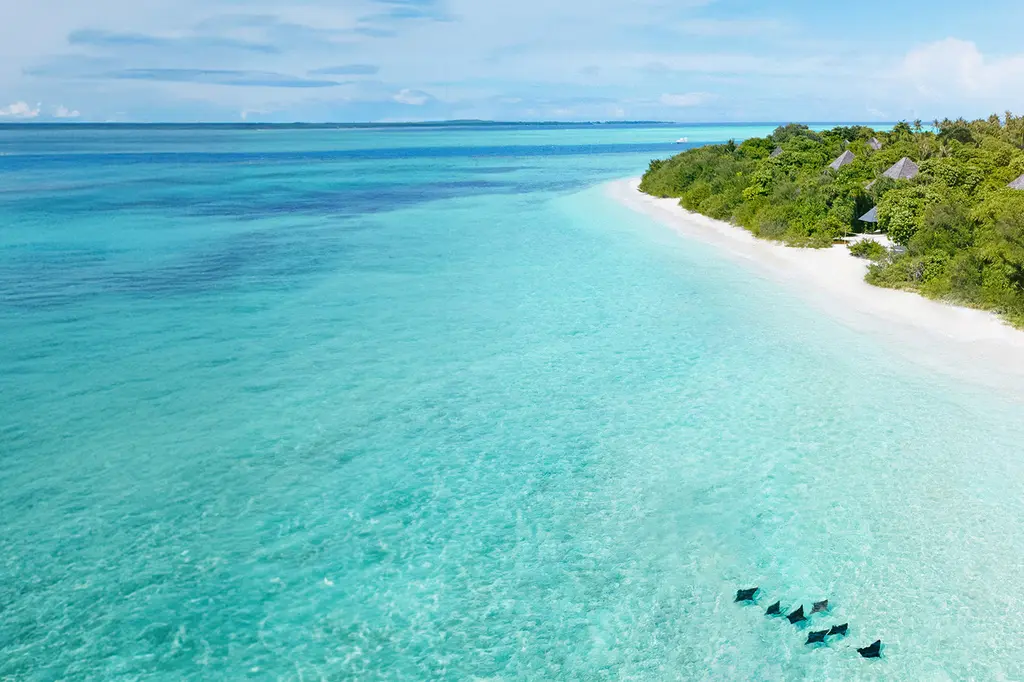 Hideaway Beach Resort & Spa  image 2