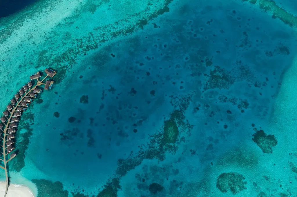 Avani+ Fares Maldives Resort image 11
