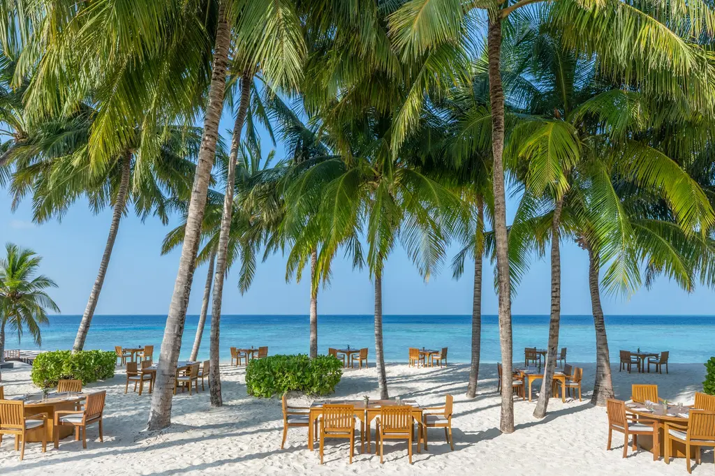 The Halcyon Private Isles Maldives, Autograph Collection image 14