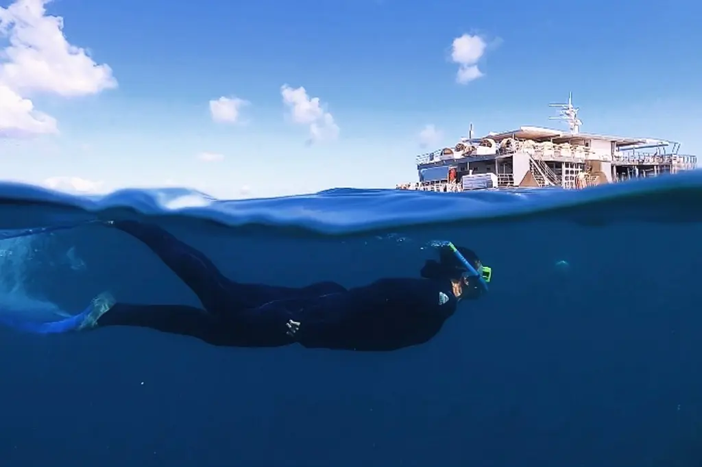 Reefsleep – Cruise Whitsundays image 6