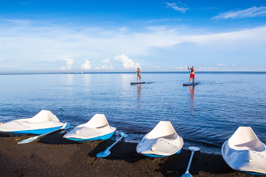 The Lovina Bali image 13