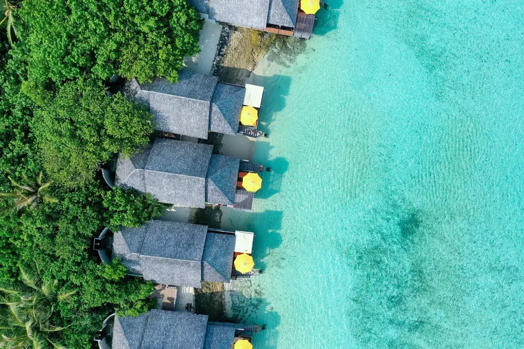 Dhigufaru Island Resort image 8