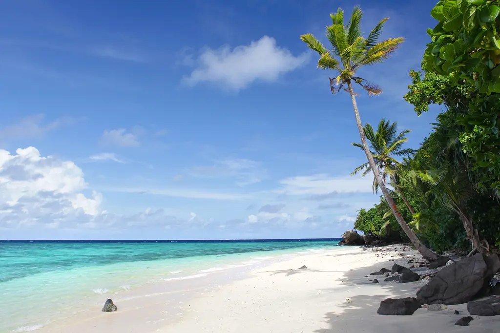 Royal Davui Island Resort image 5