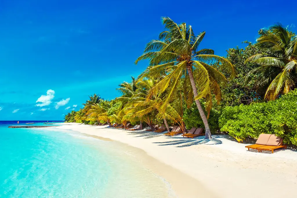 Lily Beach Resort & Spa image 4