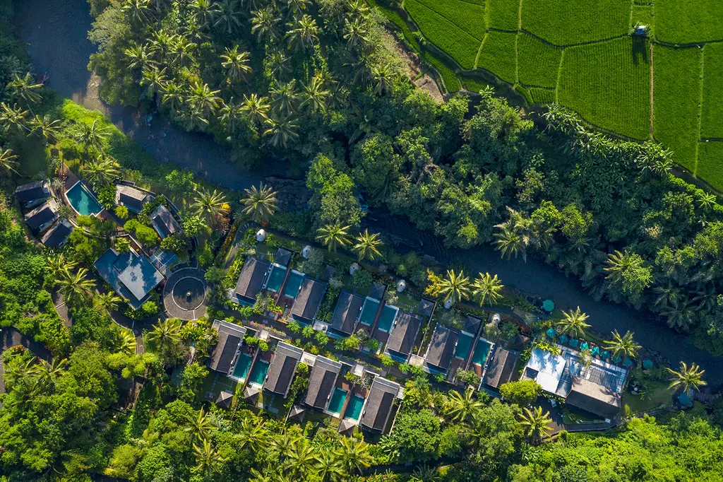 The Samaya Ubud Bali image 9