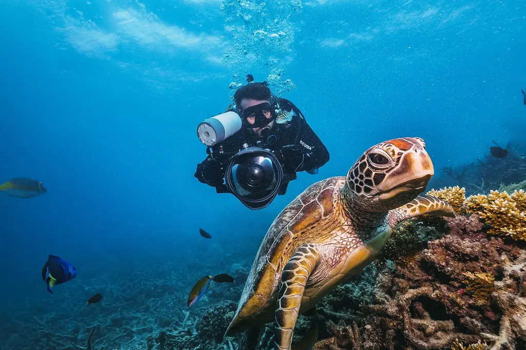 NH Maldives Kuda Rah Resort image 18