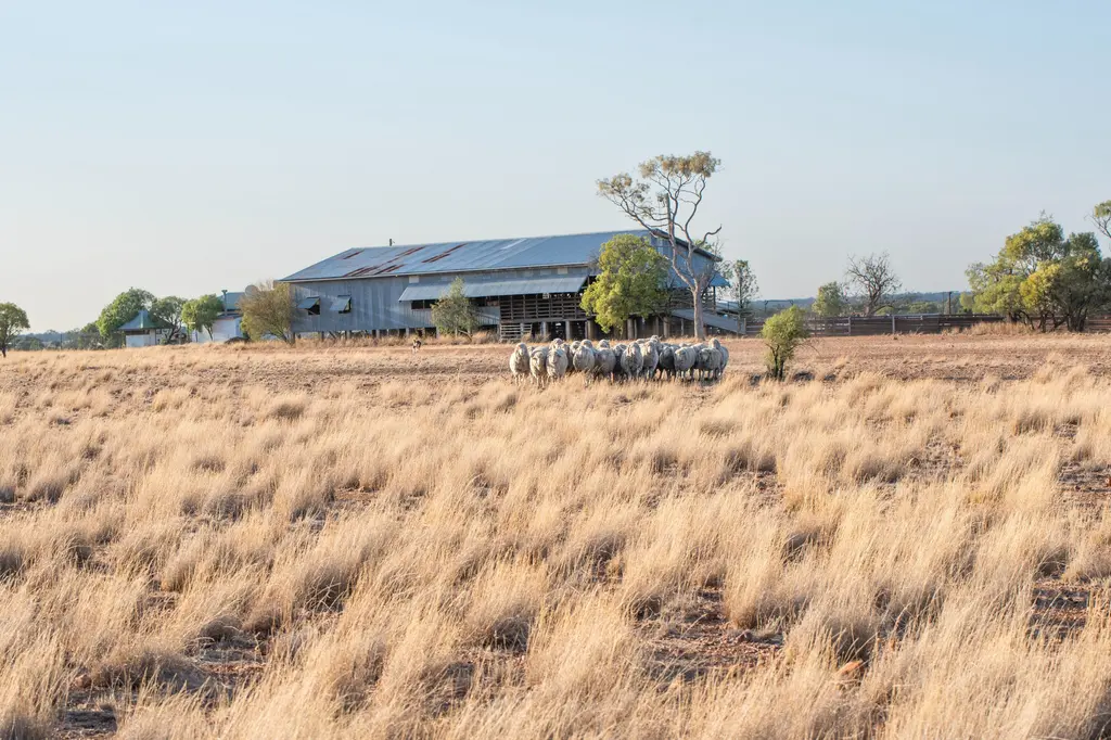 Outback Pioneers image 8