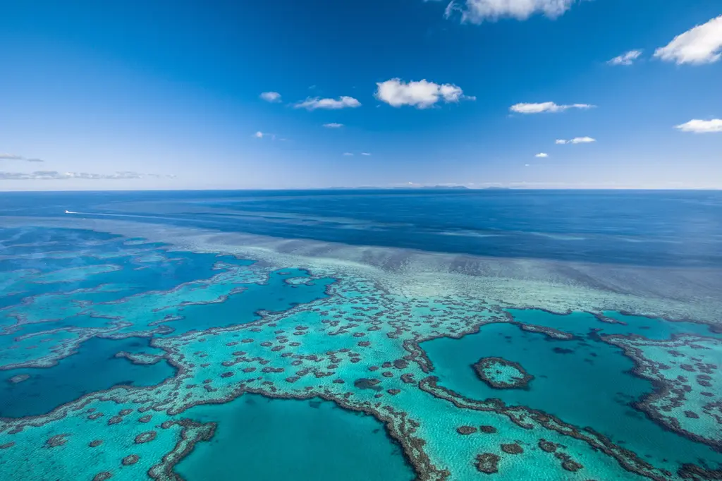 Reefsleep – Cruise Whitsundays image 11