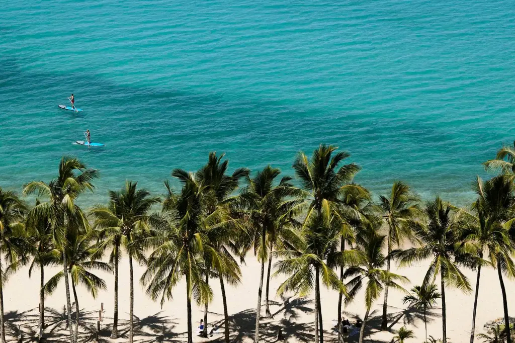 Reef View Hotel image 13