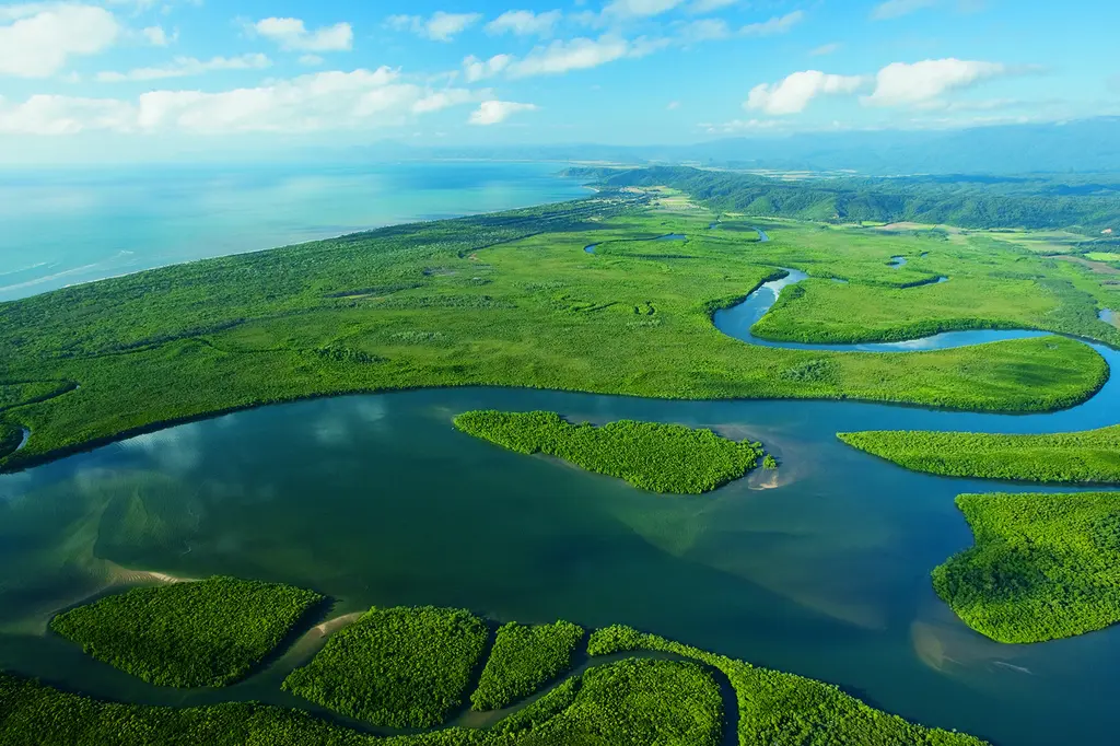 mist at Cape Tribulation image 14