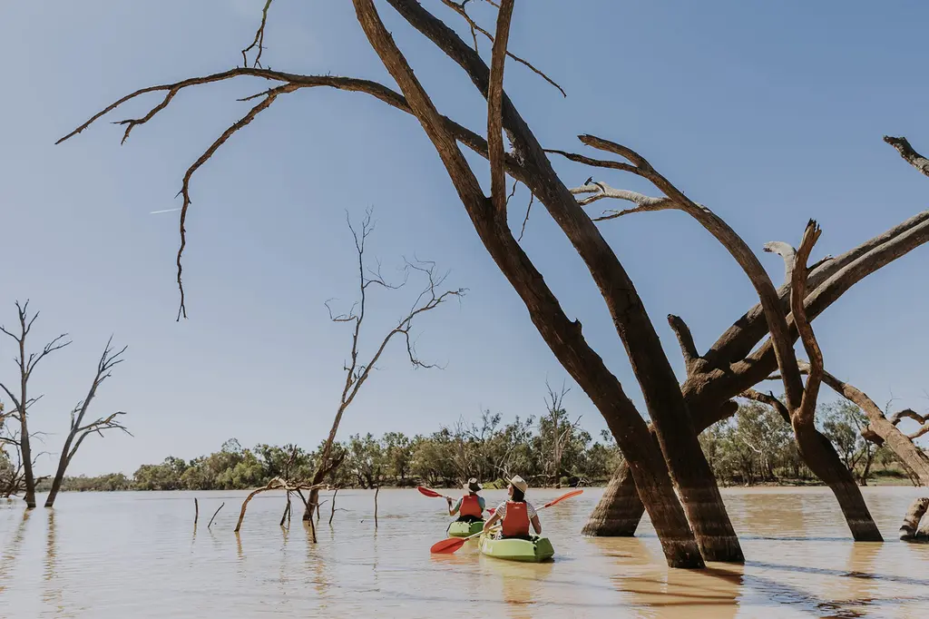 Club Boutique Hotel Cunnamulla image 6
