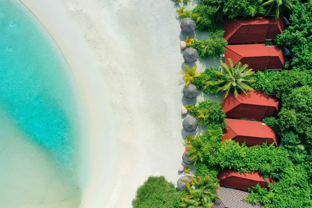 Dhigufaru Island Resort image 12