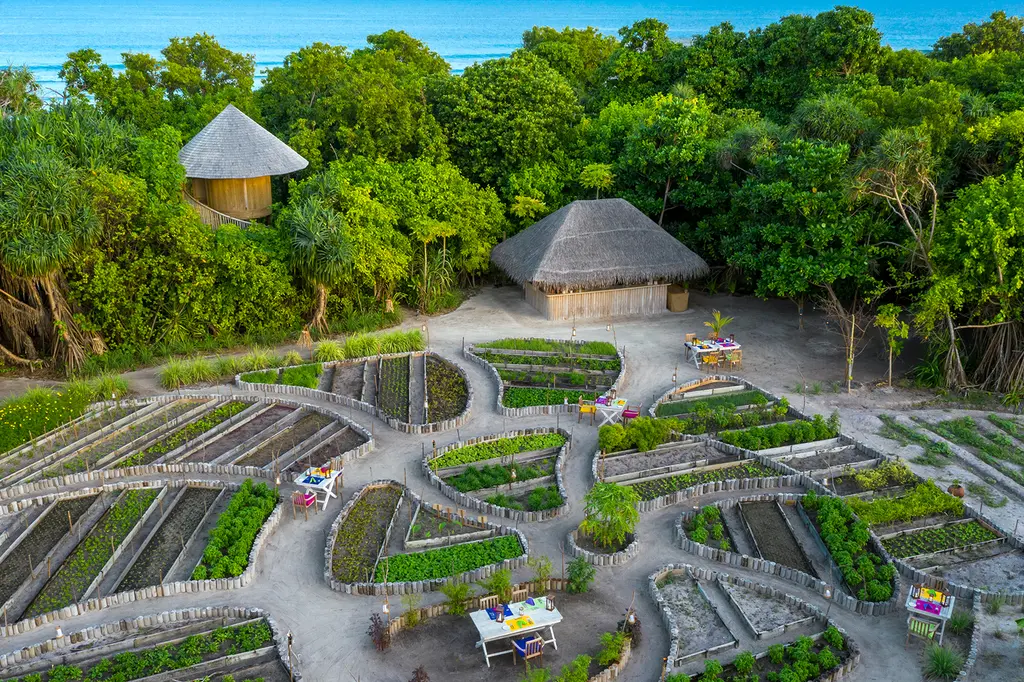 Soneva Jani image 18