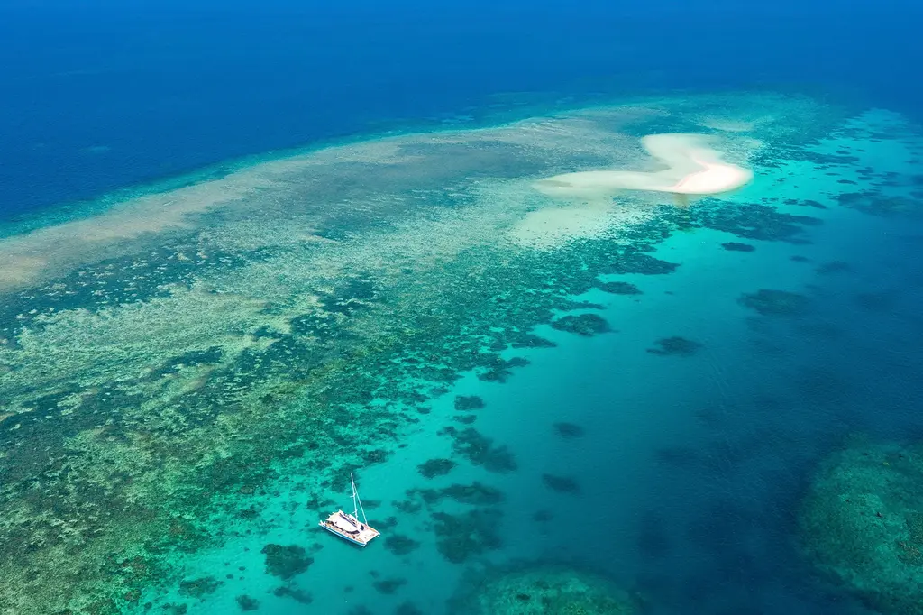 Pool Resort Port Douglas image 8