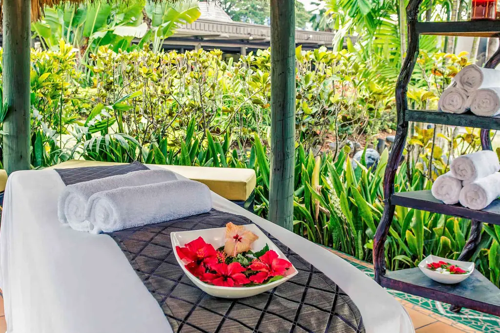 Mercure Nadi image 10