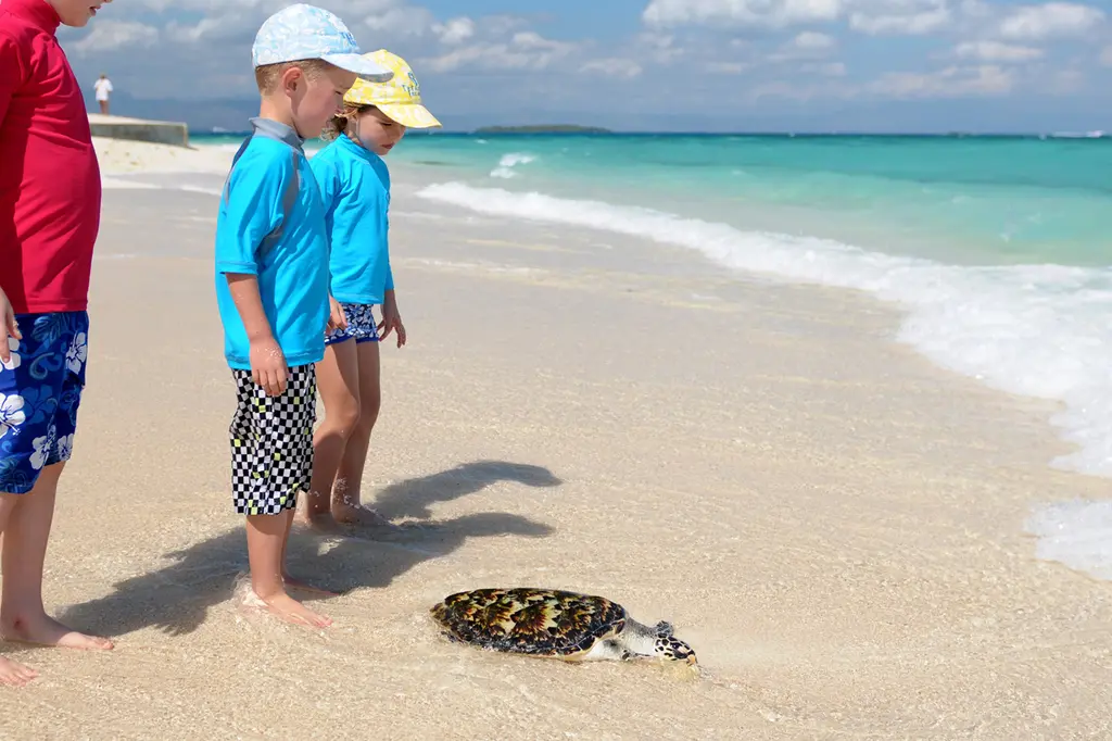 Nakelo Treasure Island Resort image 7